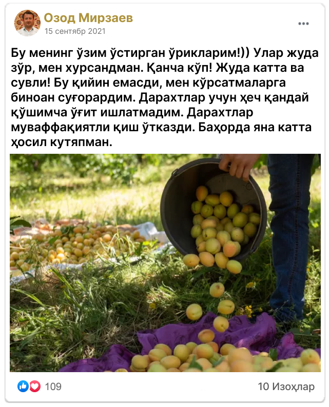 Заголовок