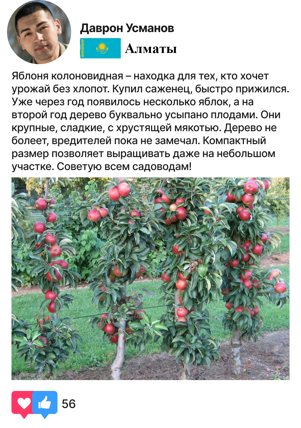 Заголовок