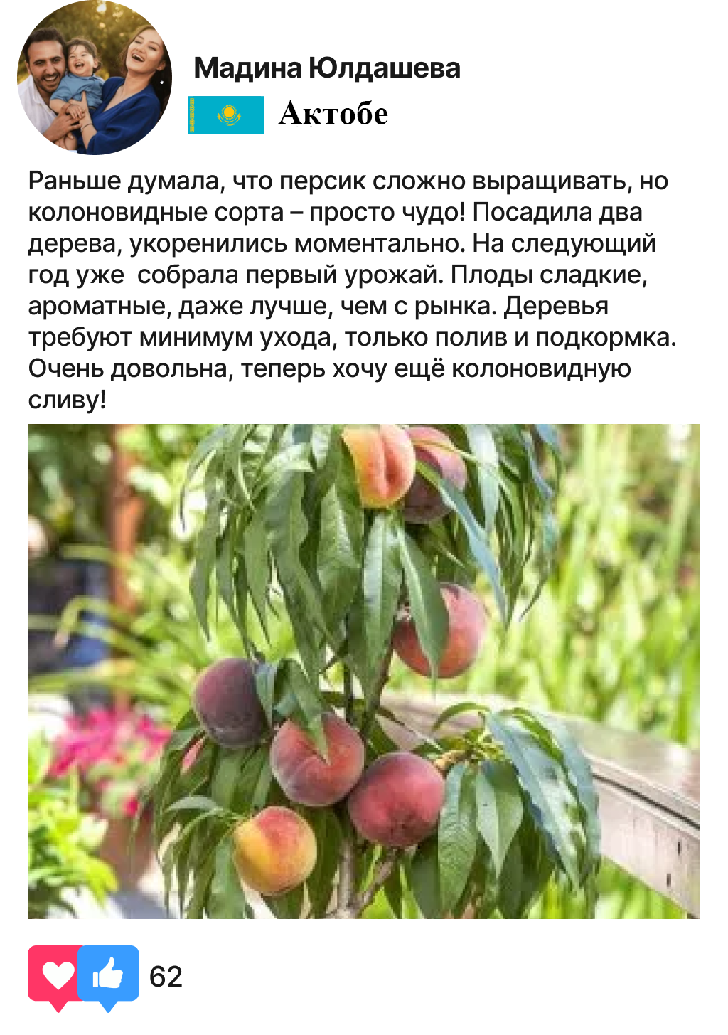 Заголовок