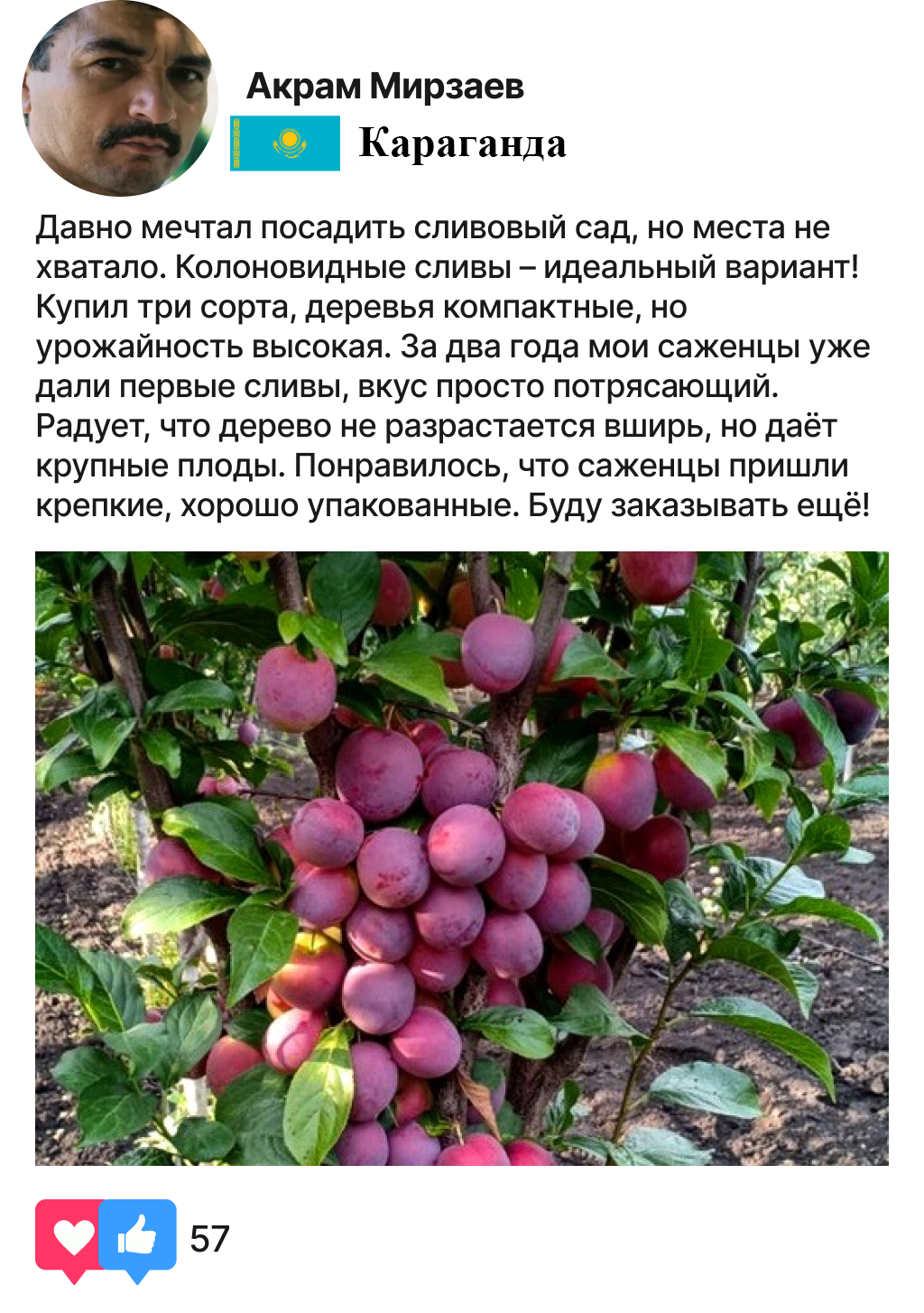 Заголовок