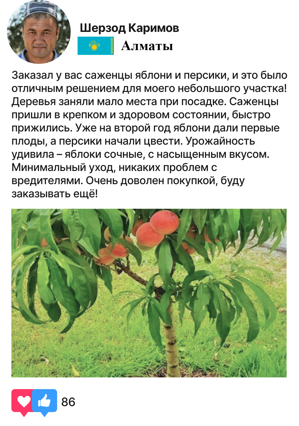 Заголовок