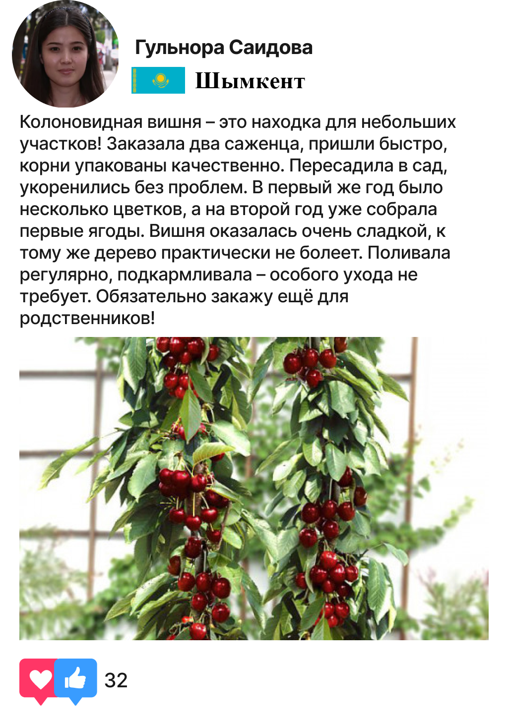 Заголовок